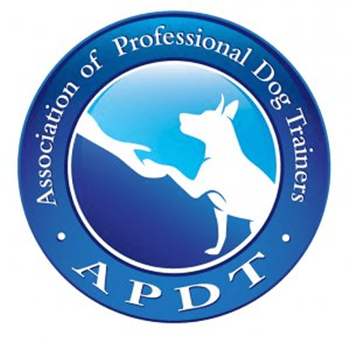 Certification 1