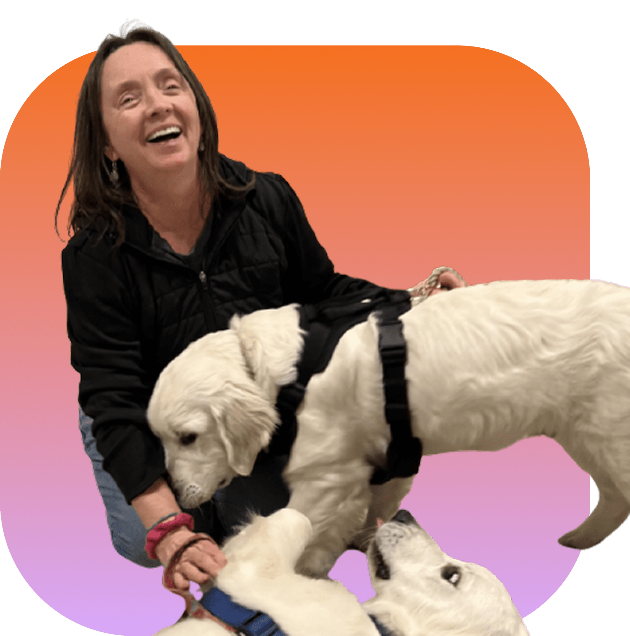Bev training a dog